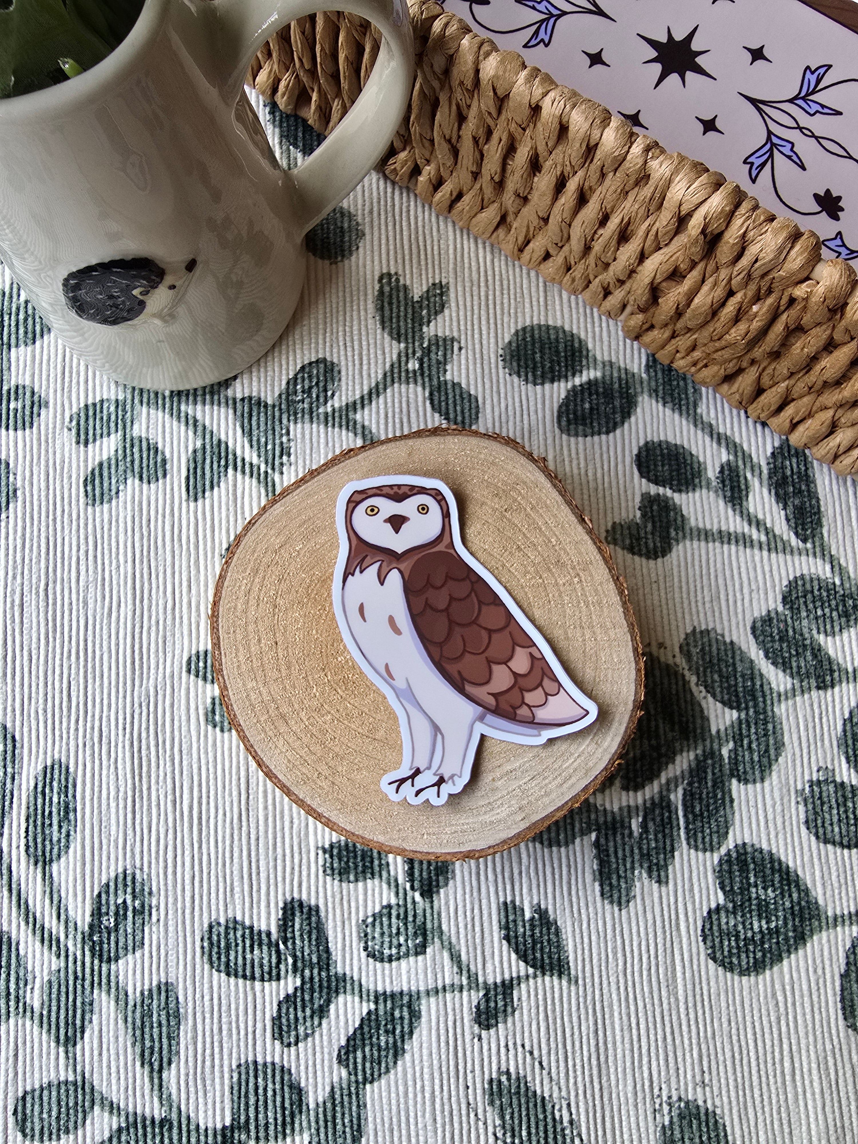 A little Owl Sticker