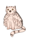 Cat-Owl Sticker