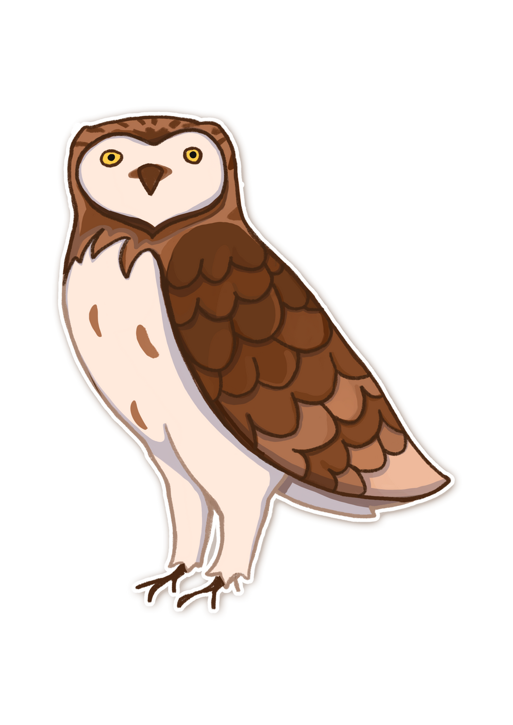 A little Owl Sticker