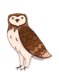 A little Owl Sticker